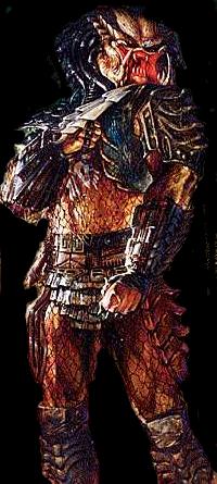 predator.jpg