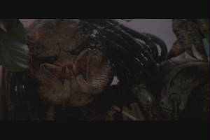 pdvd_024.jpg
