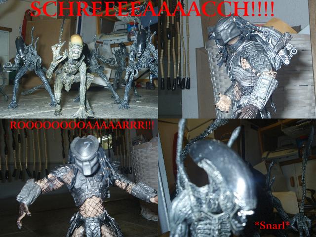 avp-1.jpg