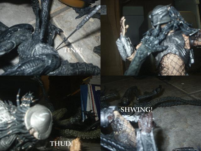 avp-13.jpg