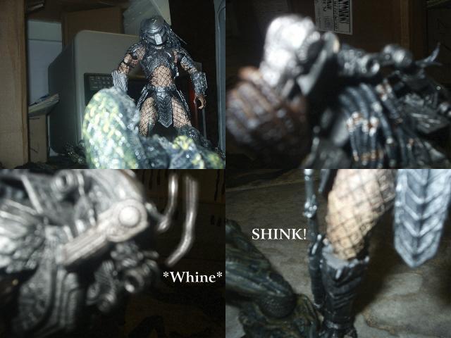 avp-15.jpg
