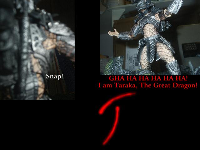 avp-16.jpg