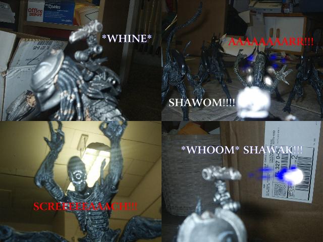 avp-2.jpg
