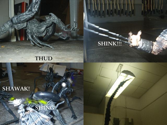 avp-3.jpg