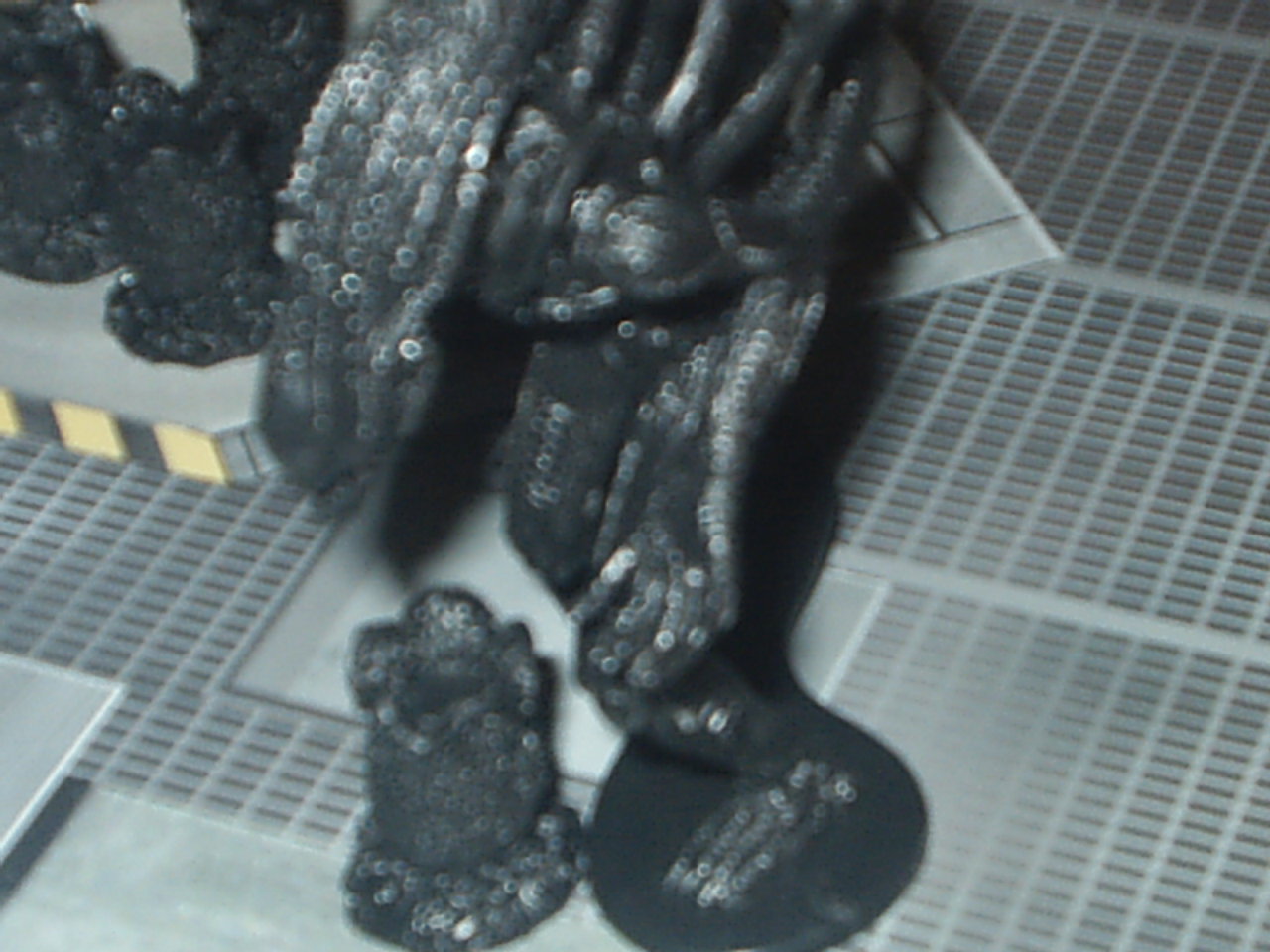boardgame006.jpg